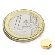 Schijfmagneet Ø 6 mm, hoogte 2 mm