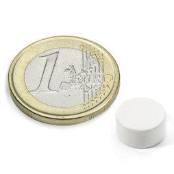 Schijfmagneet Ø 10 mm, hoogte 5 mm