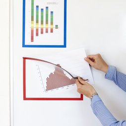 QMS-A4, Magneetkader A4, om aanwijzingen op te hangen, voor whiteboards, kasten enz., A4-formaat