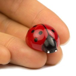 LIV-53, Lieveheersbeestjes, decoratieve magneten in de vorm van lieveheersbeestjes, set van 6