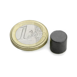 Schijfmagneet Ø 10 mm, hoogte 10 mm