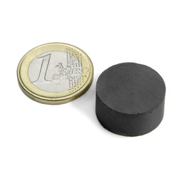 Schijfmagneet Ø 20 mm, hoogte 10 mm