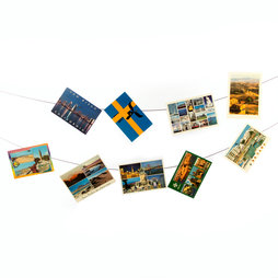 FL-06, Photo rope 3 m, with 2 loops, incl. 30 neodymium magnets